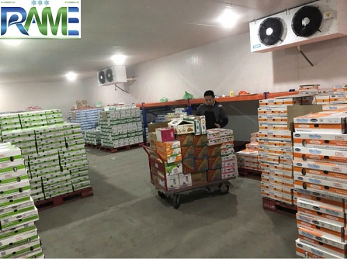 Kho lạnh bảo quản kem